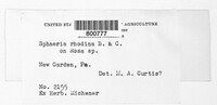 Image Associated With the Occurence
